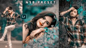 nsbpictures presets