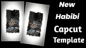 new habibi capcut template 
