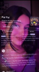 Pal Pal Jeena Muhaal VN Code Template