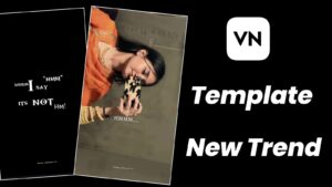 When I Say Hmm Its Not Hm VN Template Code 